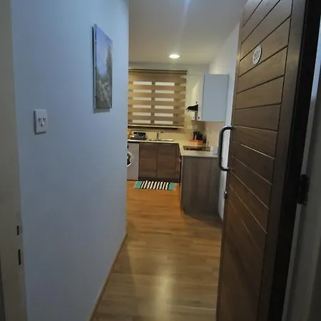 Ithaki Phinikoudes No. 201 Lejlighed Larnaca