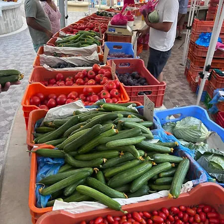 Ithaki Phinikoudes No. 201 *