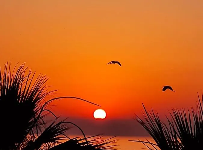 Ithaki Phinikoudes No. 201 Lägenhet *