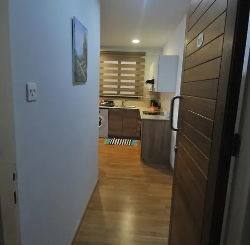 Ithaki Phinikoudes No. 201 アパート ラルナカ